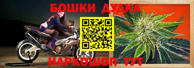 амф Ливны