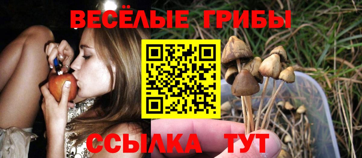 Кандалакша  Псилоцибиновые грибы Psilocybine cubensis  Галлюциногенные грибы мицелий  Вход с VPN 